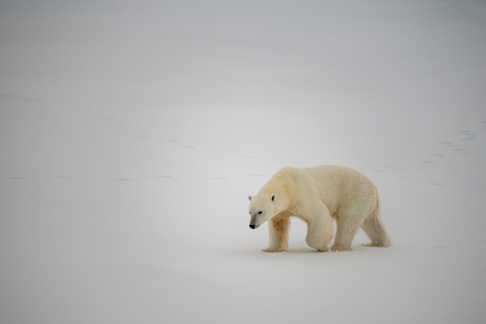 USCGC Healy Polar Operations