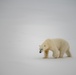 USCGC Healy Polar Operations