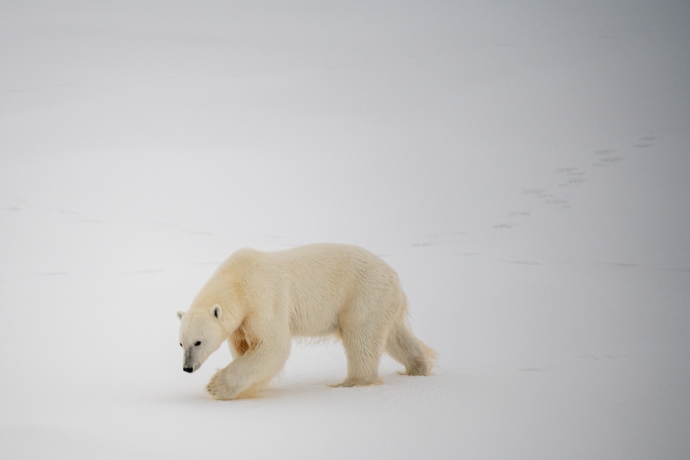 USCGC Healy Polar Operations