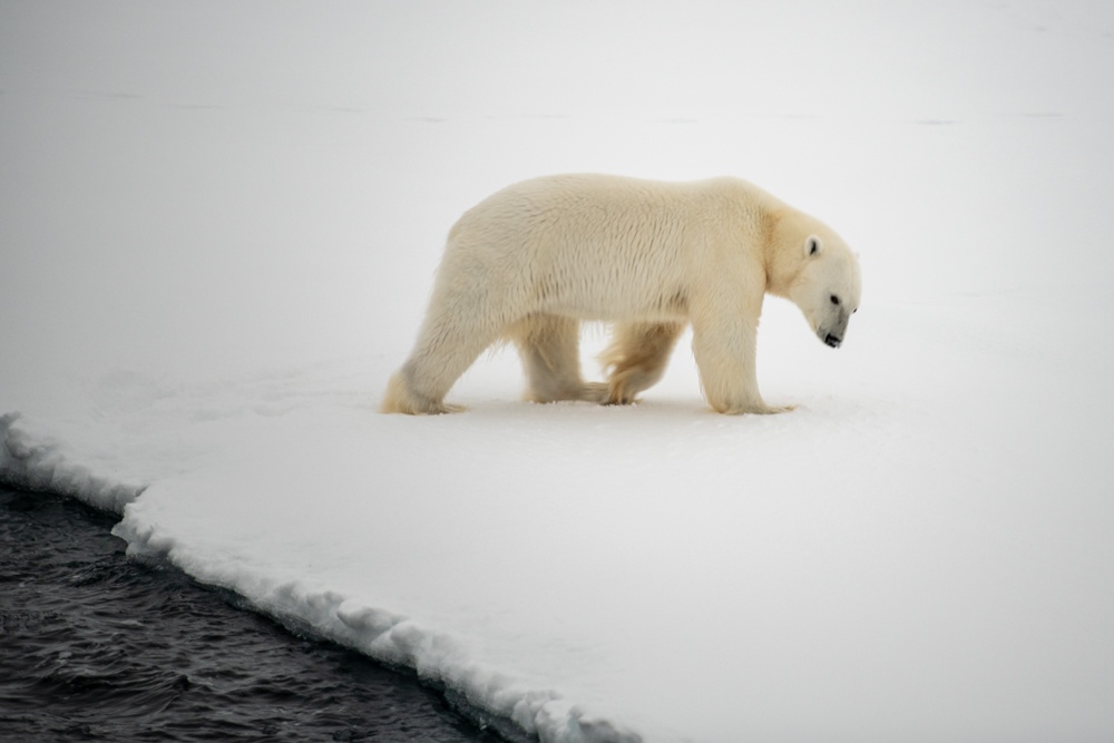 USCGC Healy Polar Operations