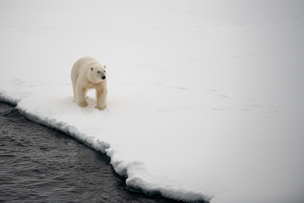 USCGC Healy Polar Operations