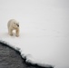 USCGC Healy Polar Operations