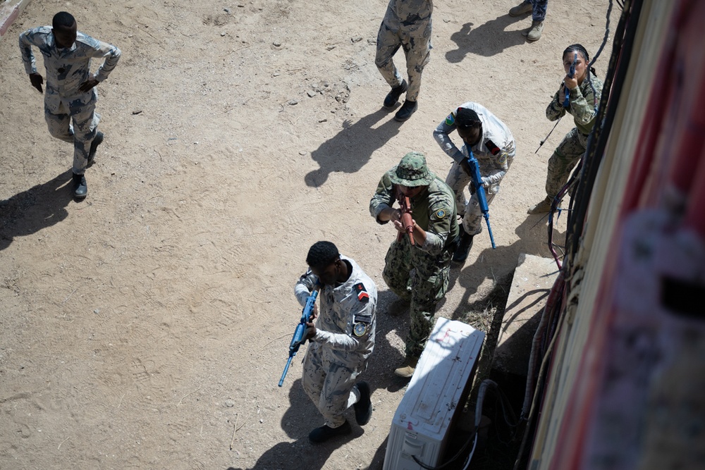 Integrated Djibouti Coast Guard and Navy Training