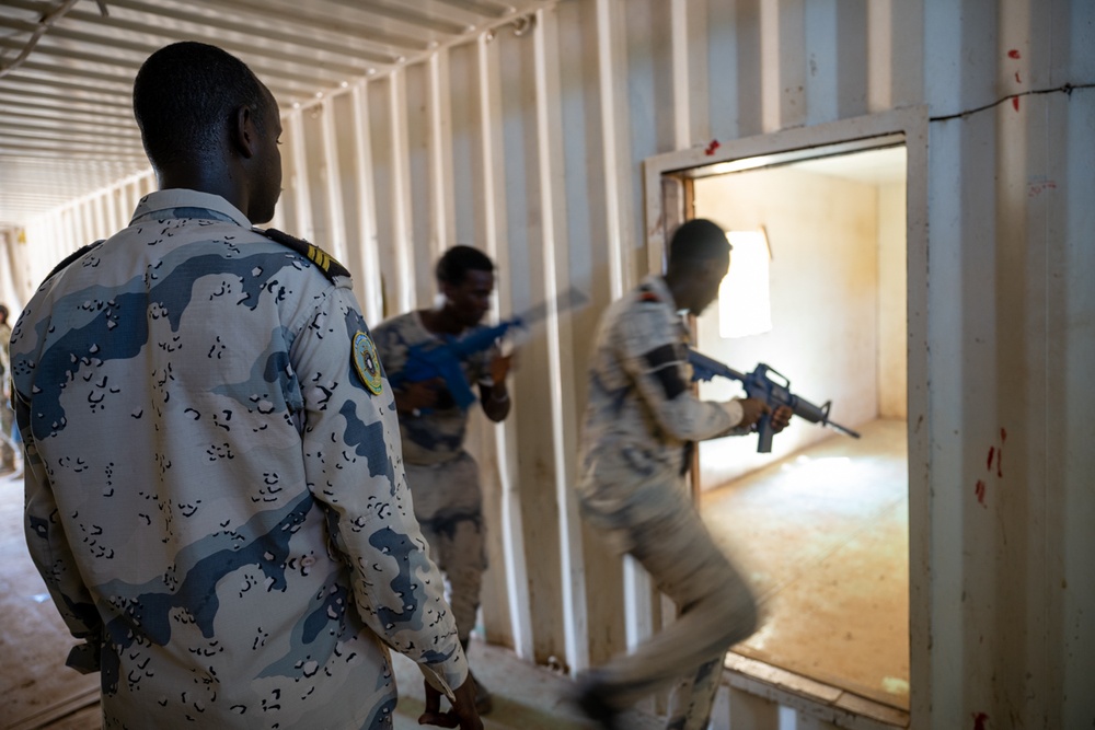 Integrated Djibouti Coast Guard and Navy Training