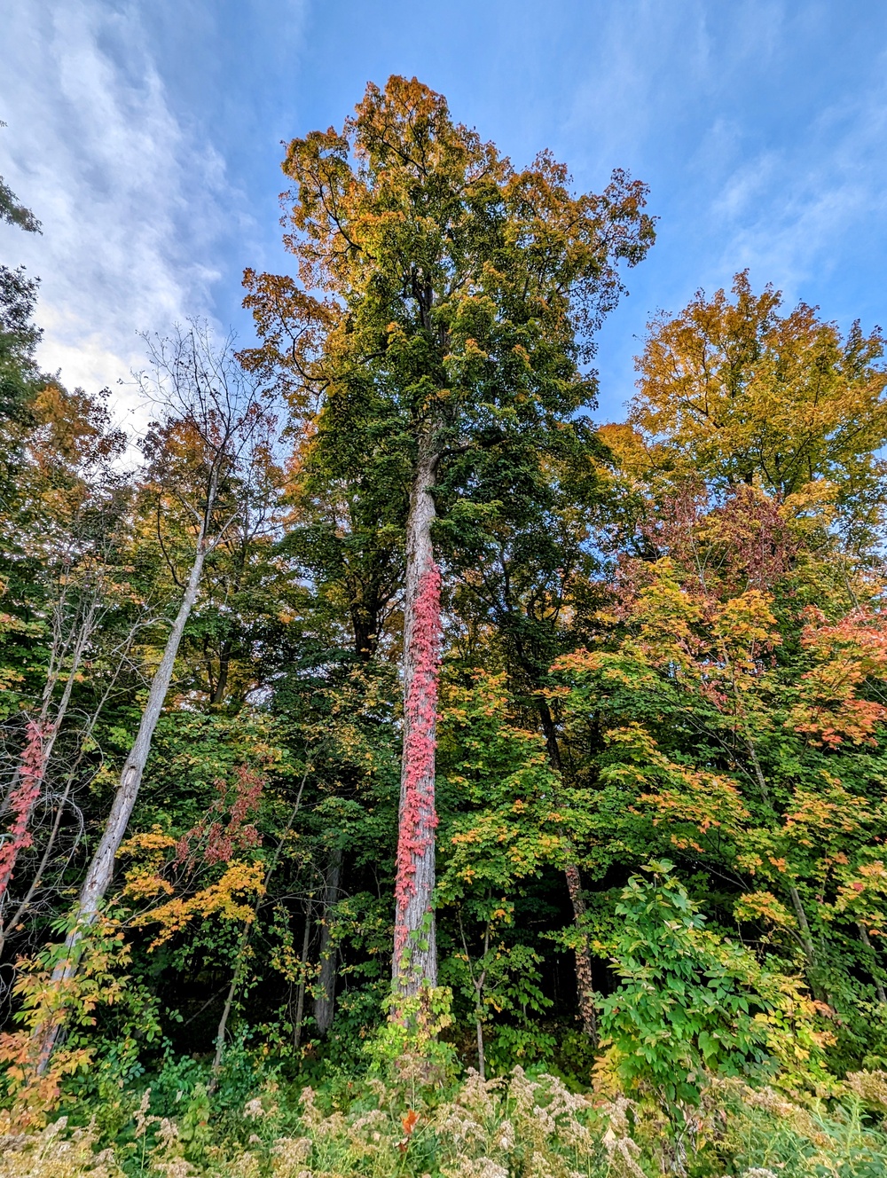 Photo Essay: Fall foliage decorates Fort Drum with stunning colors