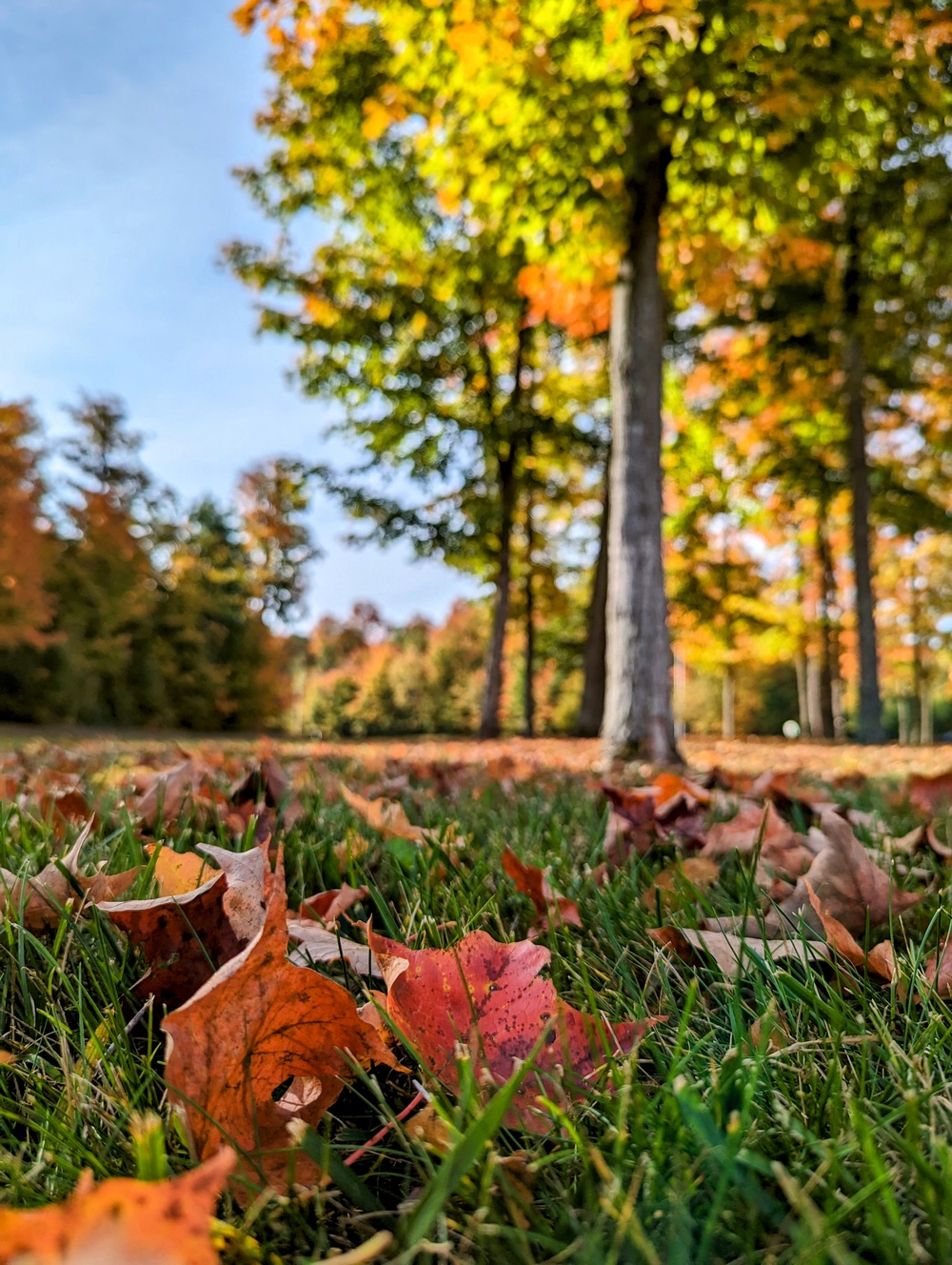 Photo Essay: Fall foliage decorates Fort Drum with stunning colors