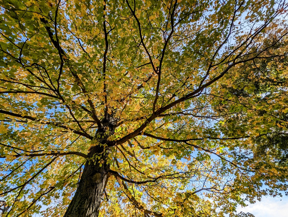 Photo Essay: Fall foliage decorates Fort Drum with stunning colors