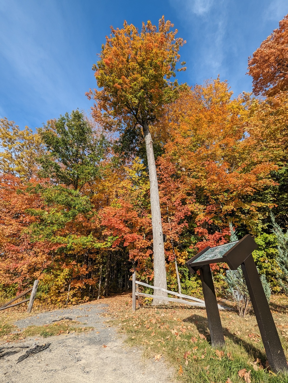 Photo Essay: Fall foliage decorates Fort Drum with stunning colors