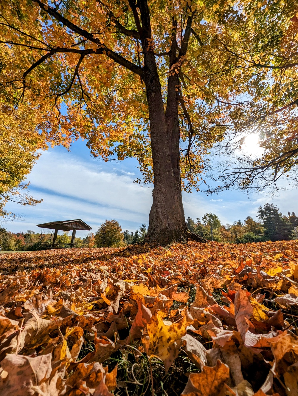 Photo Essay: Fall foliage decorates Fort Drum with stunning colors