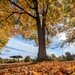 Photo Essay: Fall foliage decorates Fort Drum with stunning colors