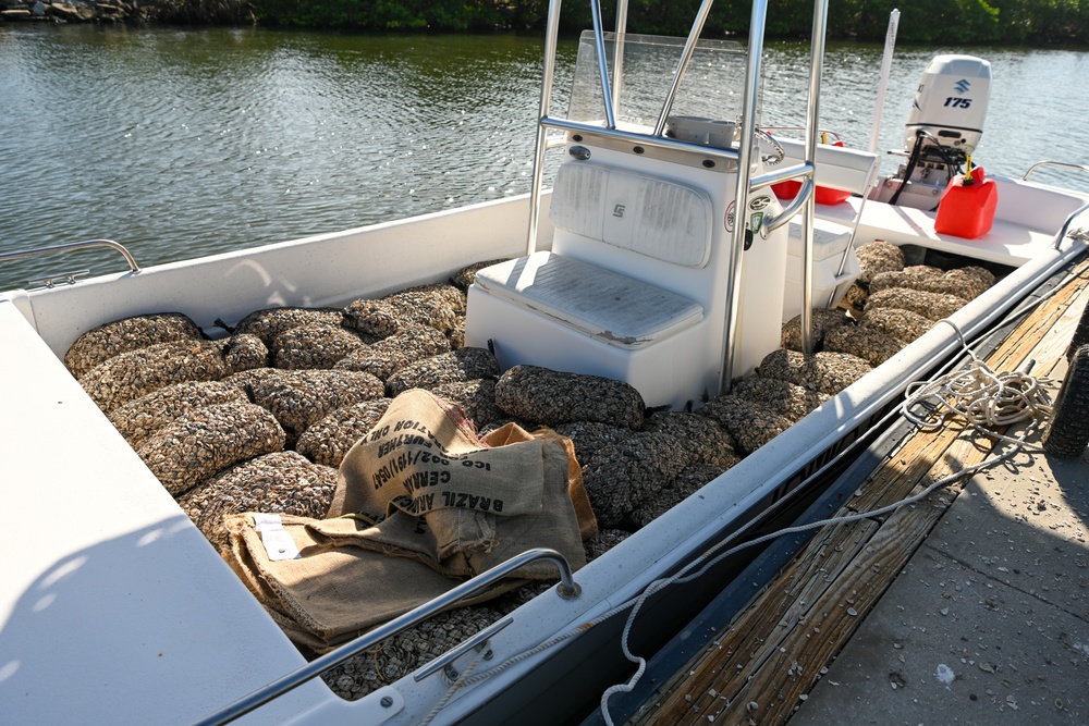 Oyster Reef Building 2023