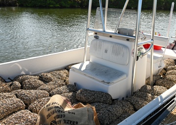 Oyster Reef Building 2023