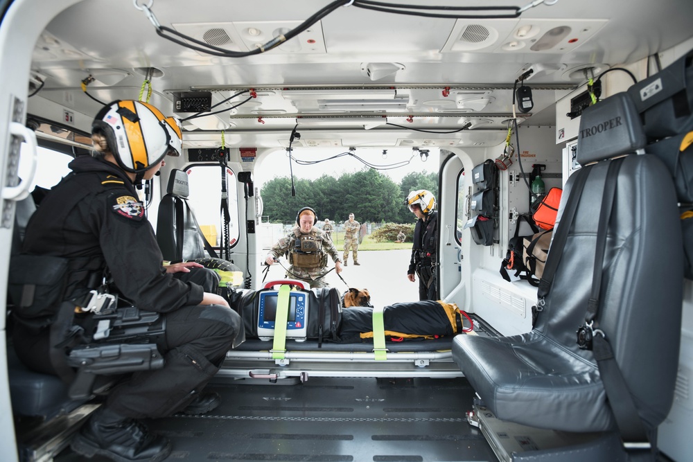 316th Security Forces Squadron K-9 training reaches new heights