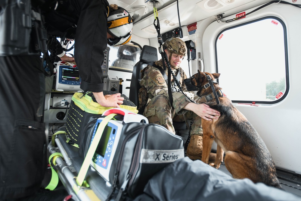 316th Security Forces Squadron K-9 training reaches new heights