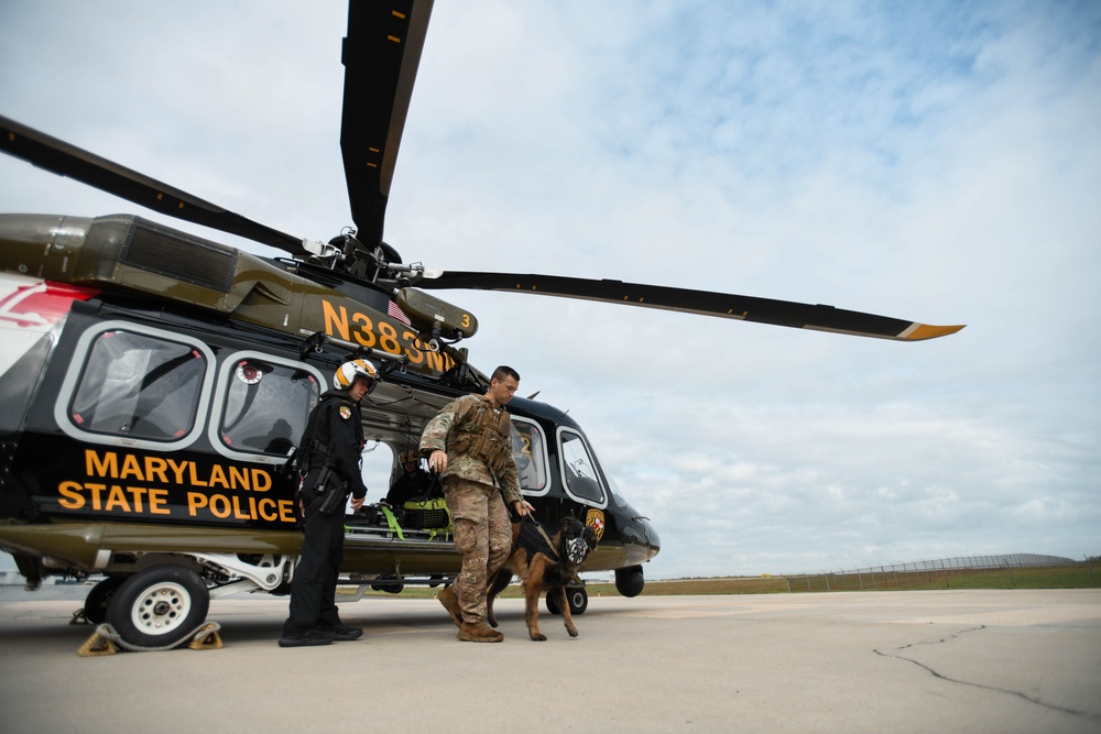316th Security Forces Squadron K-9 training reaches new heights