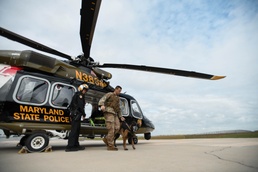 316th Security Forces Squadron K-9 training reaches new heights