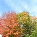 Photo Essay: Fall foliage decorates Fort Drum with stunning colors