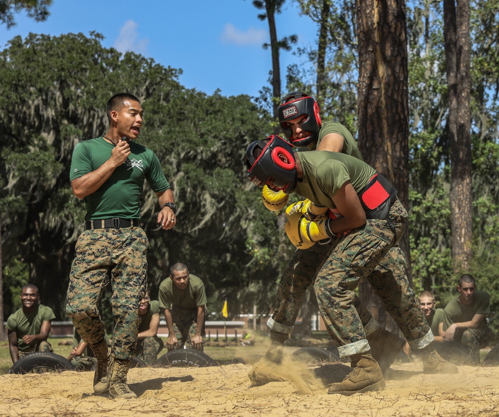 Mike Company Body Sparring