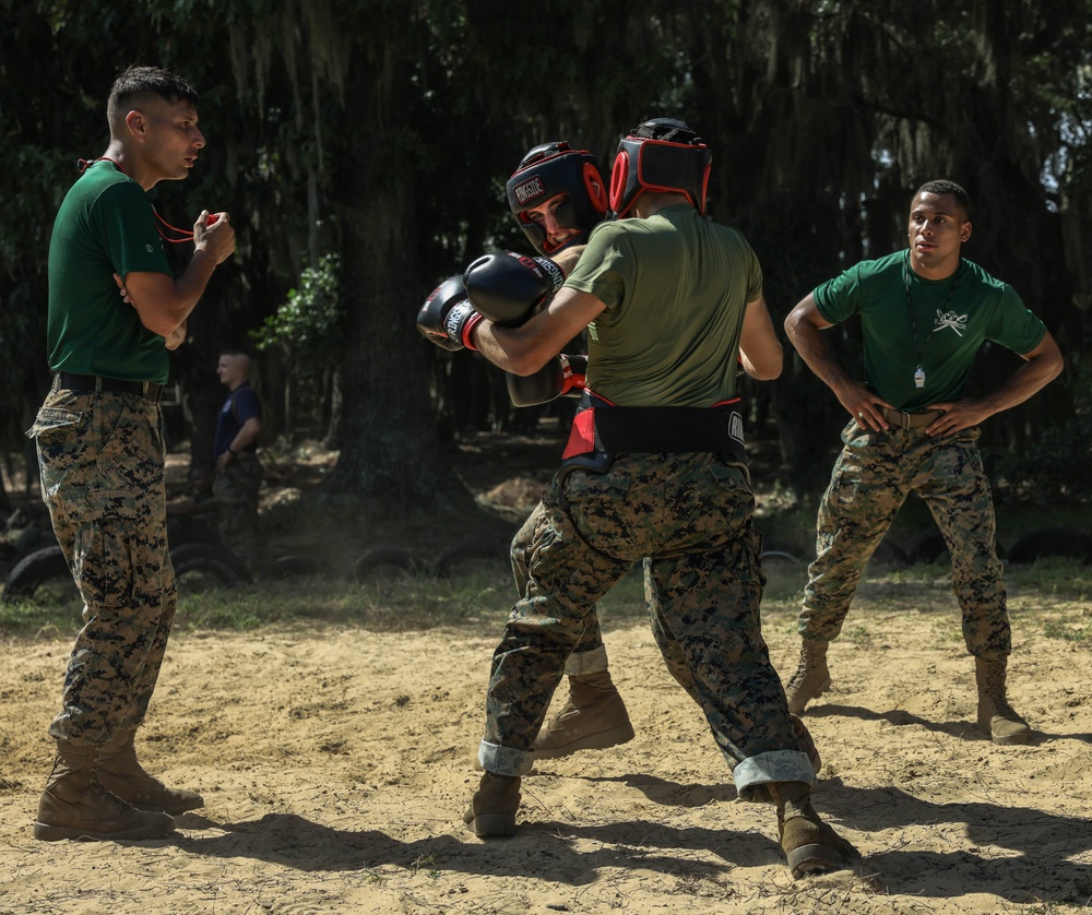 Mike Company Body Sparring