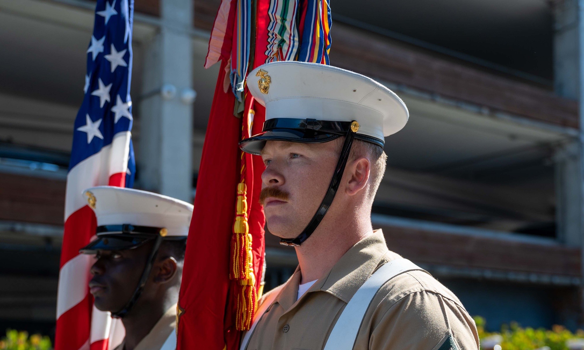 DVIDS - Images - USF, BUCS game Salute to Service [Image 1 of 4]