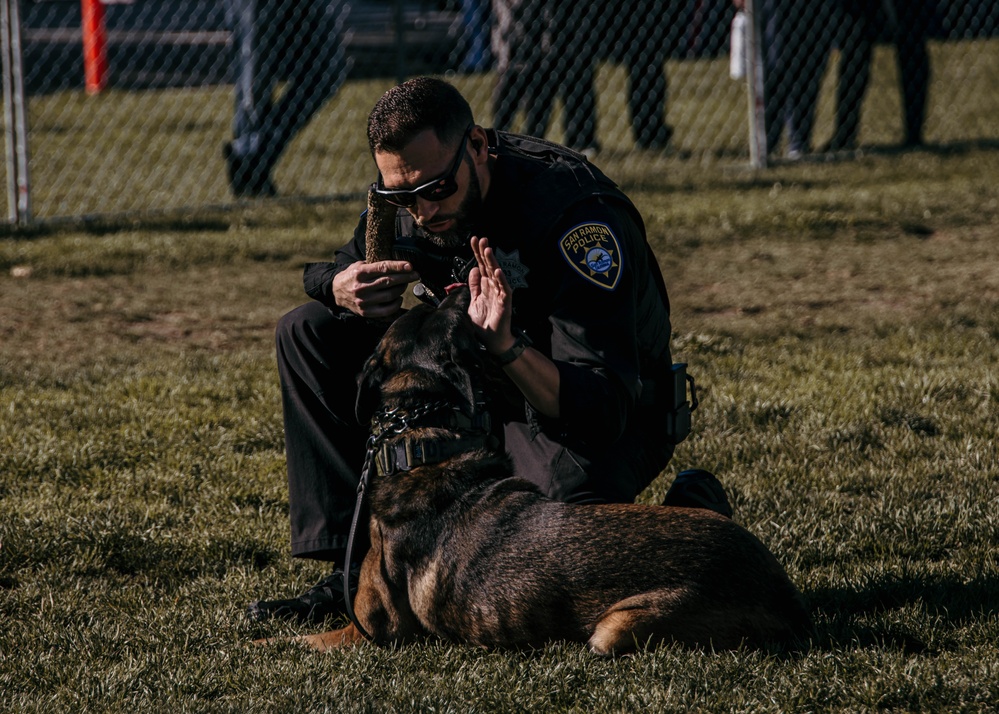 SF Fleet Week 23: Our K9 Heroes
