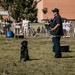 SF Fleet Week 23: Our K9 Heroes