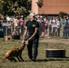 SF Fleet Week 23: Our K9 Heroes