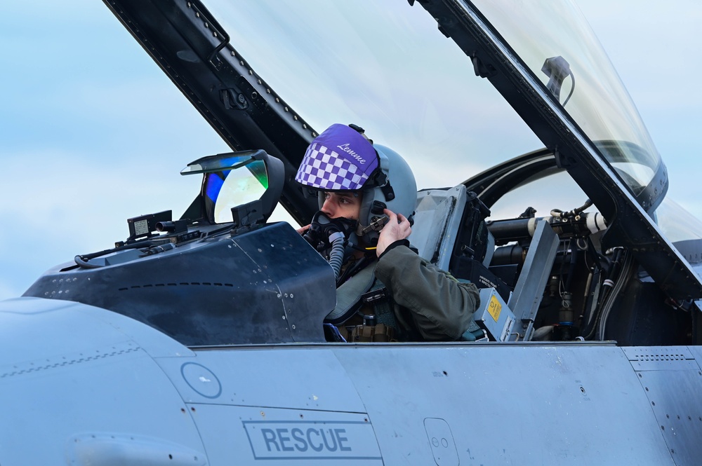 Buzzards perform exercise Purple Reign at Aviano Air Base