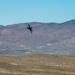 Navy F/A-18s support Nevada Test and Training Range