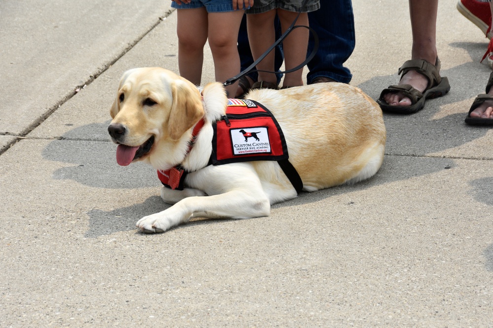 Faithful service: Wisconsin Army Guard veteran provided with service dog