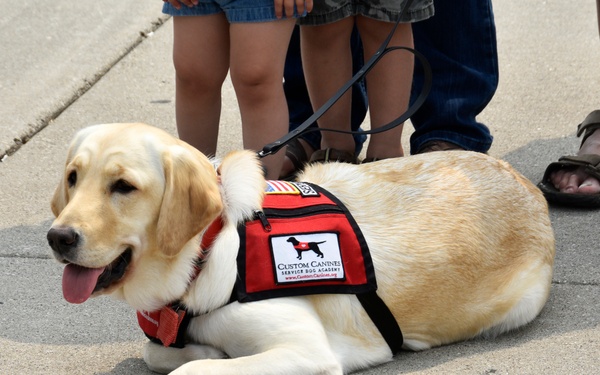 Faithful service: Wisconsin Army Guard veteran provided with service dog