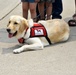 Faithful service: Wisconsin Army Guard veteran provided with service dog