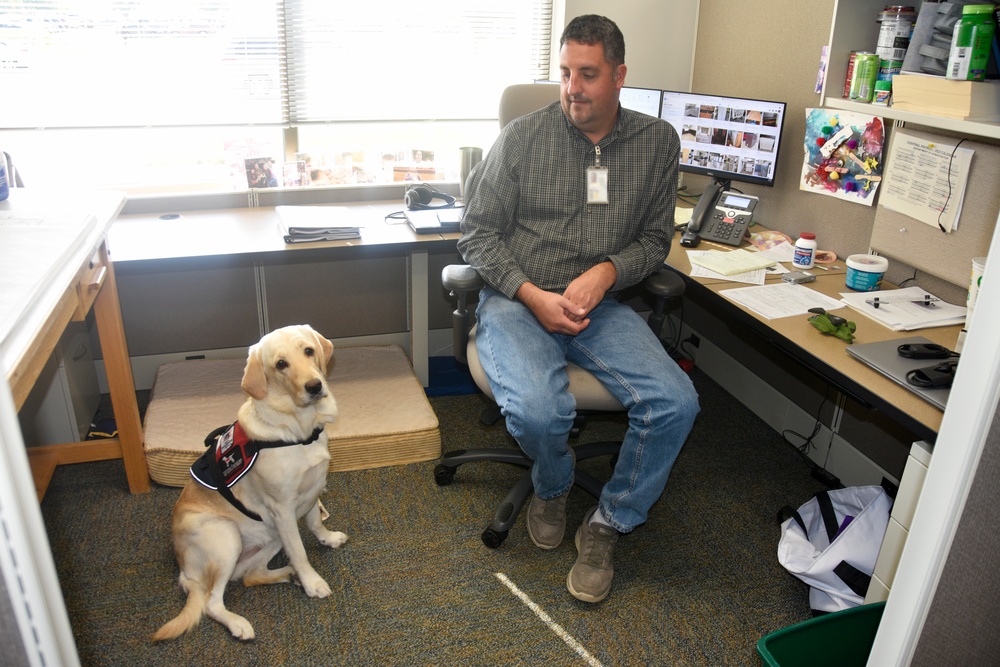 Faithful service: Wisconsin Army Guard veteran provided with service dog