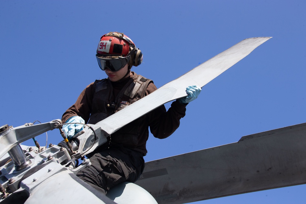 Flight Deck Maintenance