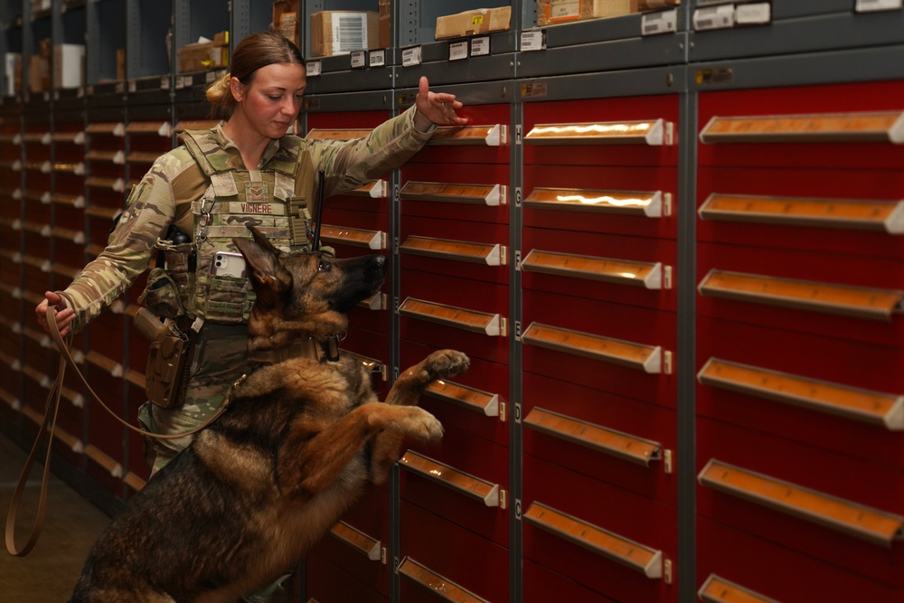 MWD Training