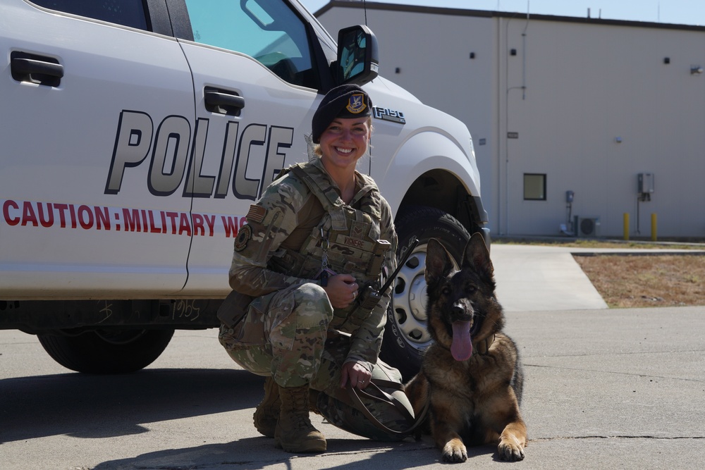 MWD Training