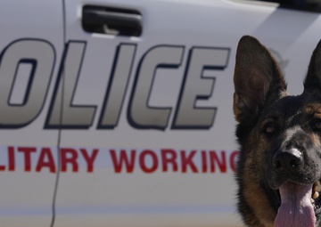 MWD Training
