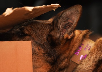 MWD Training