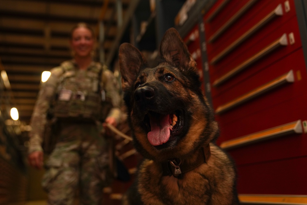 MWD Training