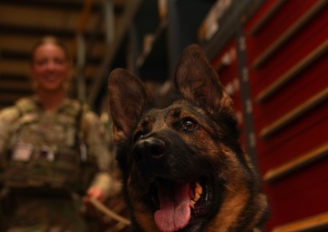 MWD Training