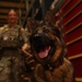 MWD Training