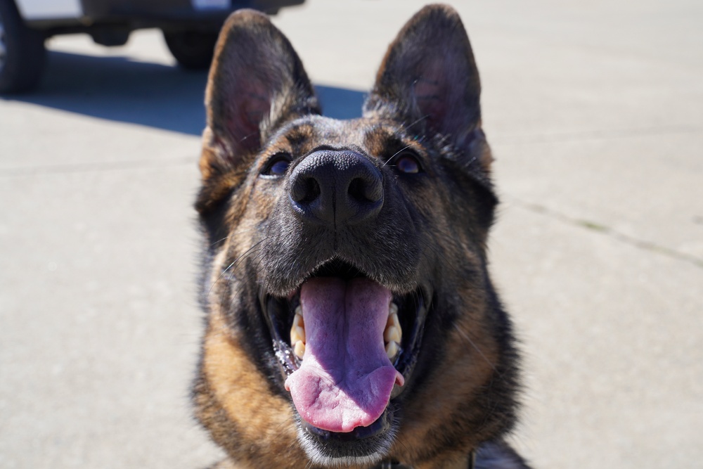 MWD Training