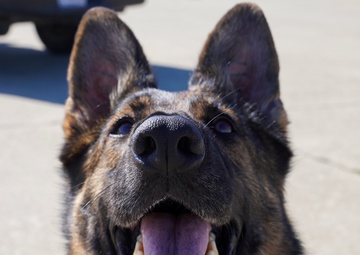 MWD Training