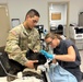 Caring for military working dogs’ dental health