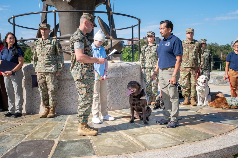 Walter Reed Facility Dog Truman Promoted to Command Sergeant Major at Special Ceremony