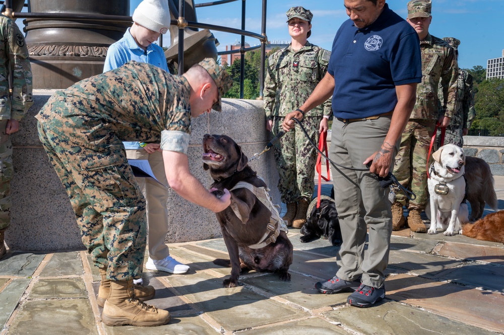 Walter Reed Facility Dog Truman Promoted to Command Sergeant Major at Special Ceremony