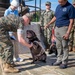 Walter Reed Facility Dog Truman Promoted to Command Sergeant Major at Special Ceremony