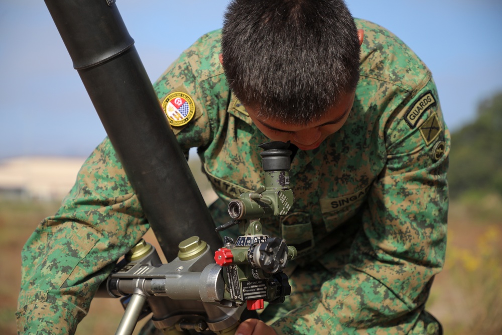 Valiant Mark 23: Mortar SMEE