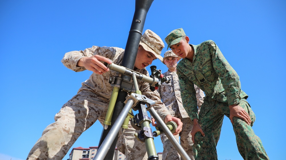 Valiant Mark 23: Mortar SMEE