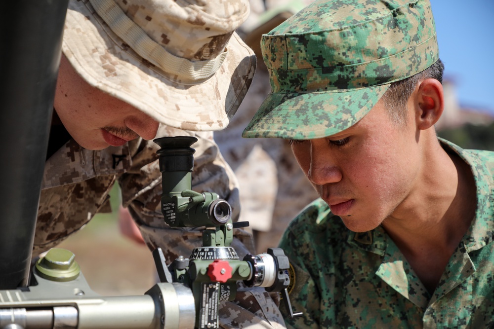 Valiant Mark 23: Mortar SMEE
